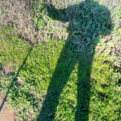 runthebehar's profile picture. 