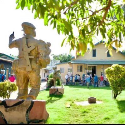 Penguin80733618's profile picture. Impactful, and reflective of your personality or brand