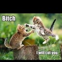 Hubert Lewis Adkins - @skywalkr2k2 - Twitter