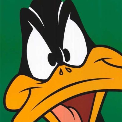 FoolNobod55's profile picture. 