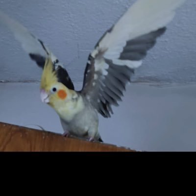 04azad26's profile picture. 