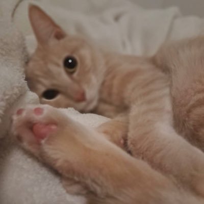 ⭐︎さんのプロフィール画像