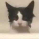 drugsinyourbag's profile picture. take me as i am @idrinkfireball