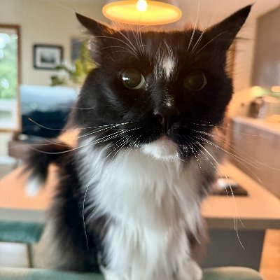Interdisciplinary independent scholar, East Asian medicine practitioner & small biz owner. PKM, epistemology, Japanese, Buddhism. I like cats & playing guitar.