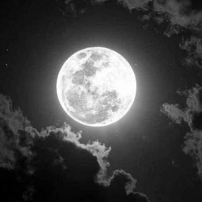 xxxxaboy's profile picture. Just doing my stuff