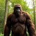 BigfootVlogs (@bigfootvlogs) Twitter profile photo BigfootVlogs (@bigfootvlogs) Twitter profile photo