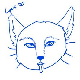 LupusDaemon🕸️🧵さんのプロフィール画像