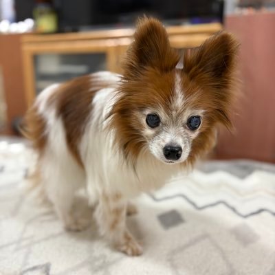 s120412's profile picture. ちょっと始めてみた(^_^)