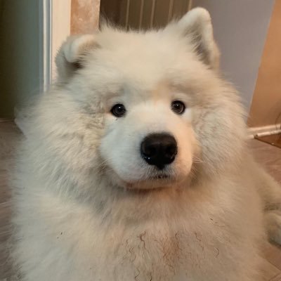 𝘿𝙐𝙀𝙉さんのプロフィール画像