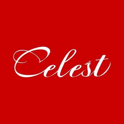 Celestaudio Labシリーズでは、日々の音響実験室での体験を皆様と共有します。公式アカウントは @AudioCeles26369です。皆様と一緒にHiFi音楽の旅を始められることを楽しみにしています。