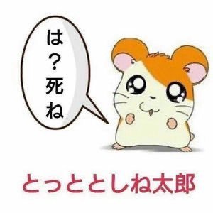寝る寝る寝るね