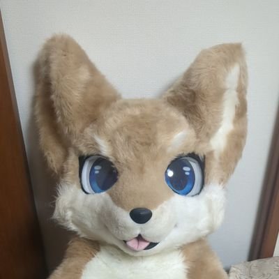 D_a_a_a_a_i's profile picture. 性癖のごった煮。着ぐるみ、ゼンタイ、ラバー、ケモノetc.カチッと性癖にハマったらお話ししましょ～