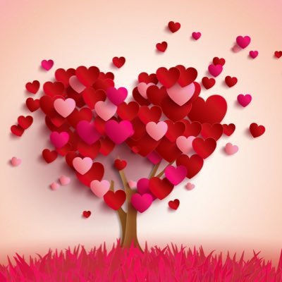 kiekie721's profile picture. 