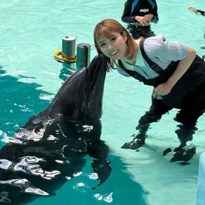 Luv ⇨ ポケモン 競馬🐎(松山君推し🫶)一口出資(ユニオン)⇨アルマデオロ・ディースプレマシー・スレドナゴラ・ディアデムドール・コンゴウフジ (ロード)⇨ロードメルヴェイユよろしくです😆