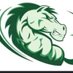 Strongsville Mustangs Basketball (@mustangshoops25) Twitter profile photo Strongsville Mustangs Basketball (@mustangshoops25) Twitter profile photo