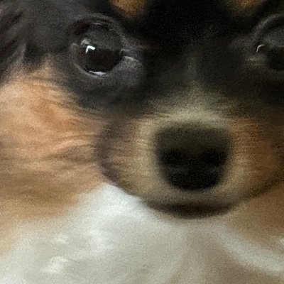 gtk0612's profile picture.