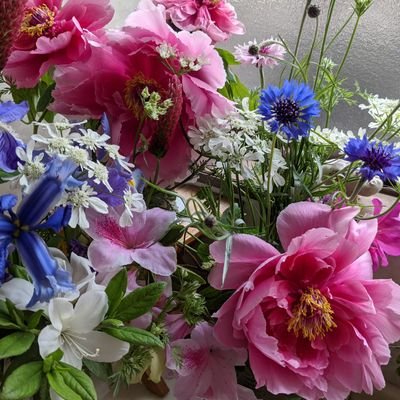 わずかな家庭菜園 ガーデニング/山野草 美しい花 風景写真を見るのが好き/可愛い動物の動画も大好き/韓国歴史ドラマが好き/史跡巡り(越前一乗谷へ桜の季節にもう一度行ってみたい)