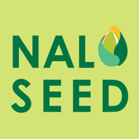 Nalo Seed (@naloseed) 's Twitter Profile