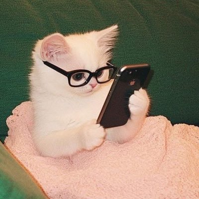 colourofdawnn's profile picture. 내돈내산색조코덕 / 악건성 / 19호 핑베선호 / 봄웜라 여쿨라 미지근