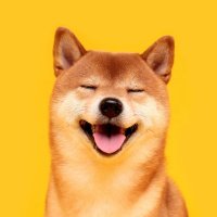 Kieu Nguyen | キエウ (@devbykieu) 's Twitter Profile