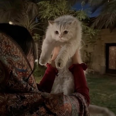 r_2qn's profile picture. ربِي اجعل لي لسان صدقٍ في الاخرين.