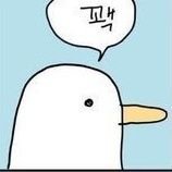 상츄🕯さんのプロフィール画像