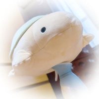 ちゃま (@chama_chan3) 's Twitter Profile