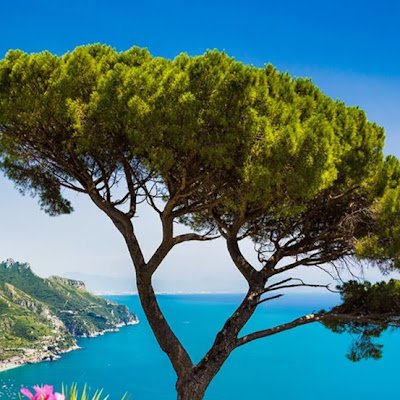 dunnetebledent's profile picture. 