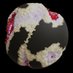 XMan (@xmanb65) Twitter profile photo XMan (@xmanb65) Twitter profile photo