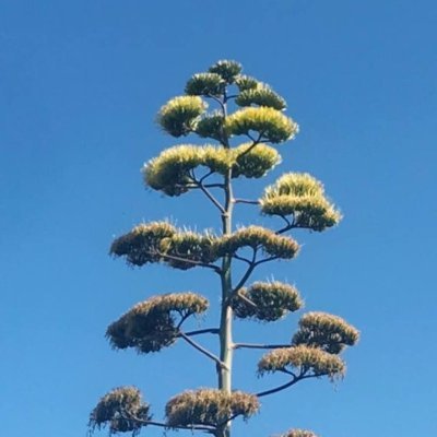 Ivanbar1884's profile picture. Happy man!   
base.eth