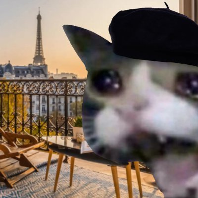 HMichel5858's profile picture. La vie est mieux avec un chat. 🐾😻