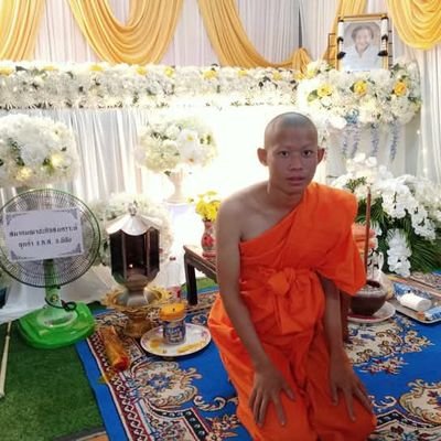 phngs_senh2789's profile picture. 