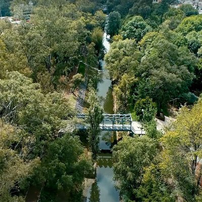 albert_lugg's profile picture. 