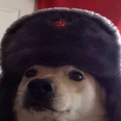 yellowwwalll's profile picture. the one