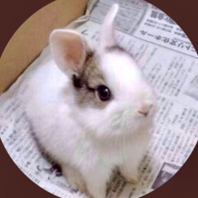 gpbllove's profile picture. よろしくお願いします
