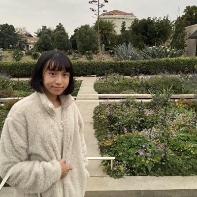 a MA student who is interested in Medieval literature