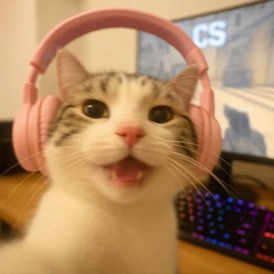 spryqq's profile picture. 