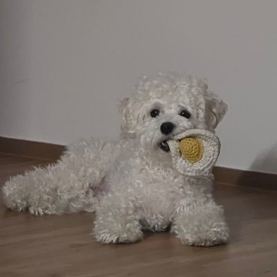 sol613_'s profile picture. 항상 너의 행복을 빌게 ໒꒱*॰