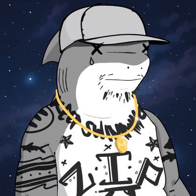 T0mFi's profile picture. cooking | defried | @zipsharks