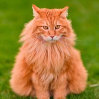 Queen (@queen5765) 's Twitter Profile Photo