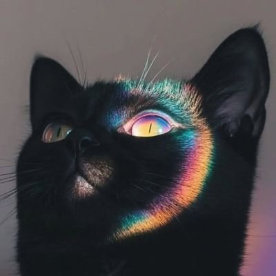 uma cara aí antissocial, que mal consegue cvs mas legal 🦋