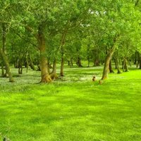 fuzulinas (@fuzulinas) Twitter profile photo