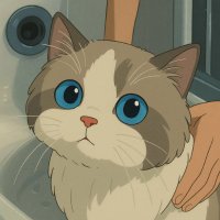 魔法猫猫(@nebula883) / X