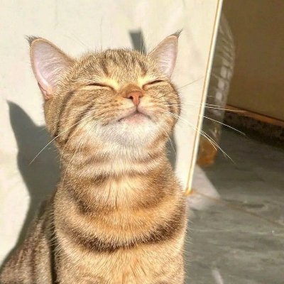 15eylulaltmis6's profile picture. @aranmedyaresmi