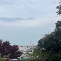 りゅう (@ryu770966) 's Twitter Profile