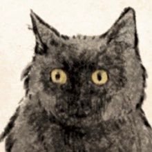 bekobe_twknk's profile picture. 犬やら歌やら…なにより神戸