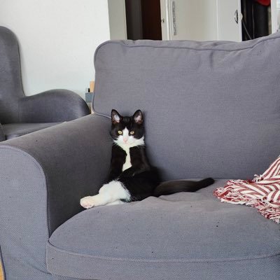 nygaard_signe's profile picture. hej alle sammen