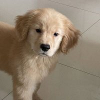 thunn.🦆 (@030918__) 's Twitter Profile