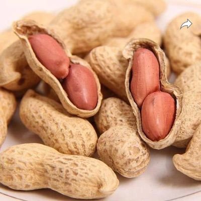 KrixKrixvv's profile picture. I draw, follow my insta krix.krix_ I post alot more there.

unguaranteed once in a month activity on here