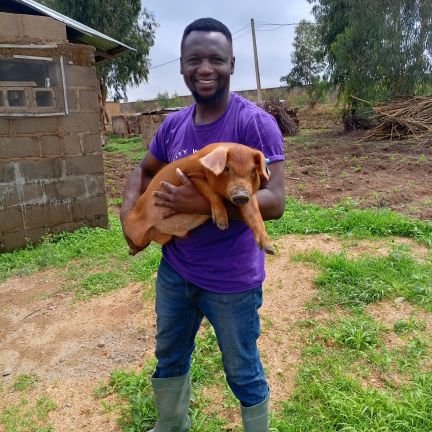 CEO KAMO RICE 🍚| DA MANCHA FARMS|
Agriculture consultant ✍|
Mandela Washington Fellowship Alumni 🌍| Pig farmer 🐷
Artist & Music producer 🤖
+2349090576990